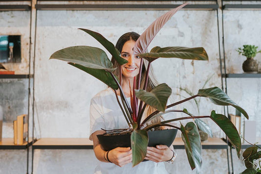 Cómo adoptar una planta de manera ética