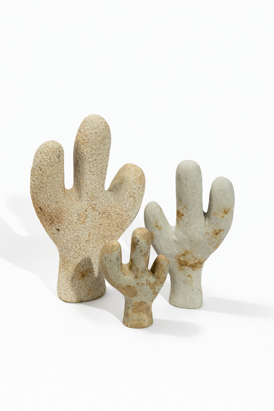 Cactus  Bravío en Piedra | The Blue House