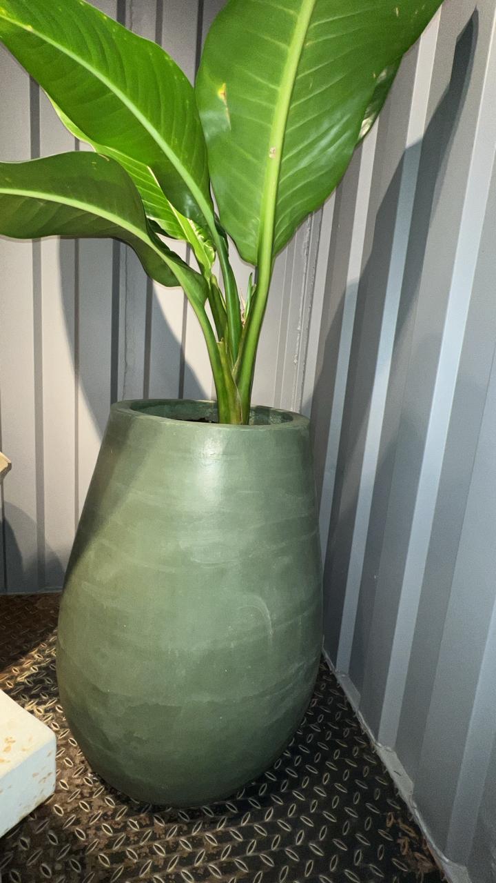 Amalgaba amalgama | The Blue House