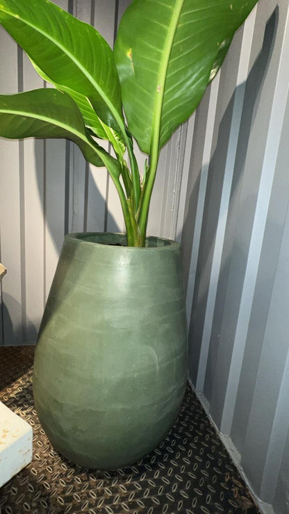 Amalgaba amalgama | The Blue House