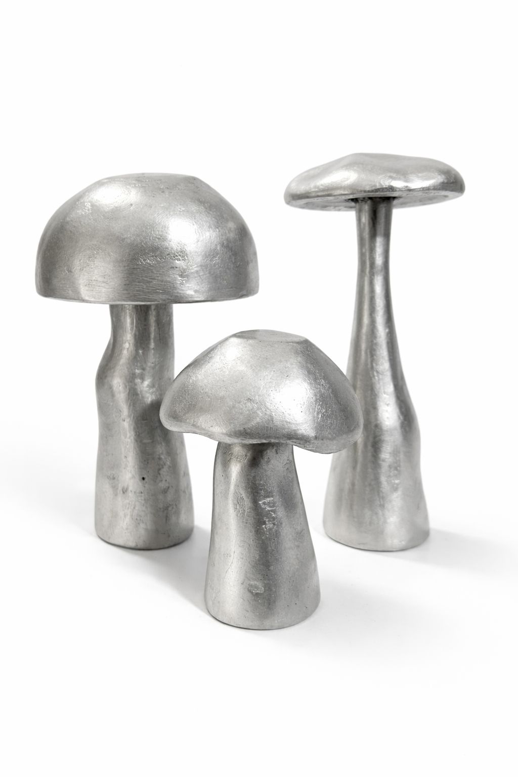 Hongo bravio en Aluminio | The Blue House