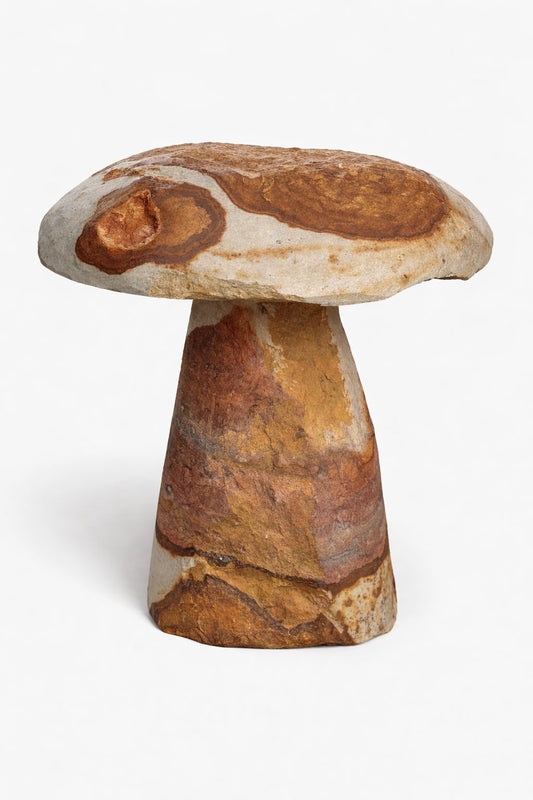 Hongo Bravío Gigante | The Blue House